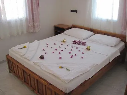 Beray 3* داليان